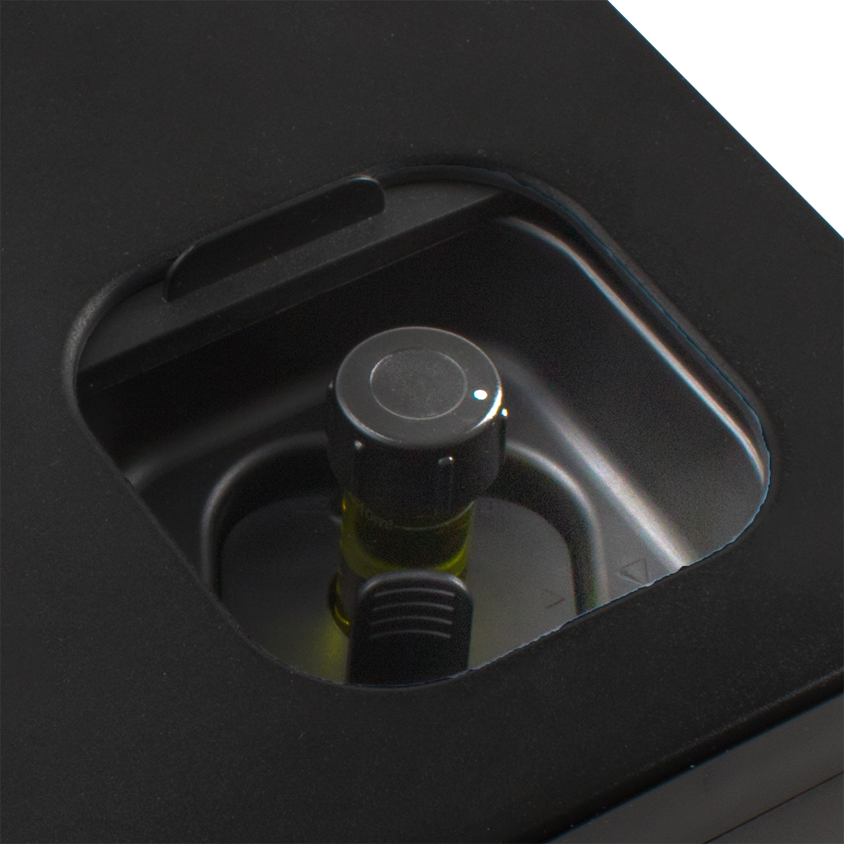 IRIS-with-light---- (1).jpg IRIS-with-light---- (1).jpg